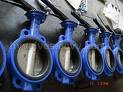 BUTTERFLY VALVE