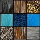 premium grizzly rooster feathers for hair extention