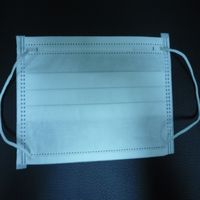 Cleanroom Face Mask, No / Low lint Cleanroom Face Mask--Lowest price in market, factory direct
