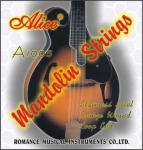 mandolin string set