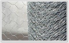 hexagonal wire mesh