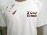 Kaos Desain Zoo Jungle