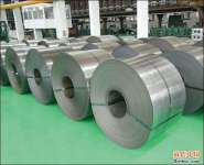 stainless hot rolled steel coil
