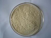 Garlic Powder Extract