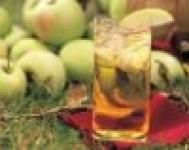 supply best quality of apple juice concentrate with sutible price