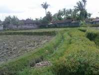 Ubud Land Near Gowa Gajah