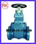 JIS cast iron gate valve