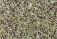 Stone Slab