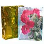 Holographic Paper Bag