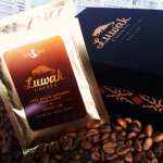 Luwak Roasted Coffee Beans & Powders