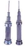 AAC Cable ( kabel aluminum)