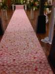Karpet rose petal