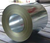 Galvanized steel sheet ( in coil)