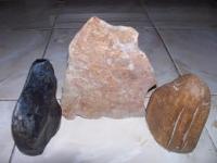 Fosil kayu / fosil stone / fosil Batu/ fosil wood/ fosil binatang