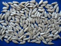 Sunflower Seed Kernels from China