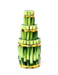 Suji/ Bambu Hoki ( Lucky Bamboo) TK 320