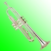 Trumpet,  Cornet,  Pocket Trumpet,  Flugelhorn,  C Key Trumpet,  Piccolo Trumpet