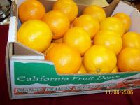 Navel Orange