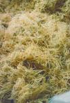 SALE !!!! Dried Seaweed (Rumput Laut) Eucheuma Cottoni/ Kappaphycus alvarezii dari indonesia bagian timur KUALITAS NO 1 DI INDONESIA