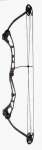 SDH-CII compound bow