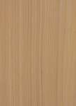 elm veneer