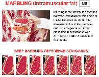 marbling( intramuscular fat)
