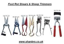 Sheep Shears