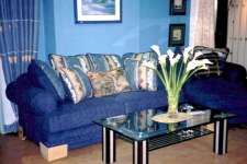 Classic American fabric sofa ( C9421Q/ Q-3)