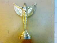 Trophy Award