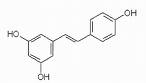 Polygonum cuspidaturn extract / Resveratrol