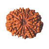 Dua Belas Mukhi