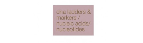 DNA Ladders & Markers - Life Science Products