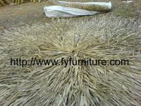 thatching,  Thatch Patio Umbrella,  Thatch roof