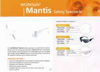 WORKSafe Mantis Safety Google