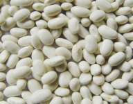 White and Red Kidney Beans