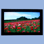 32 inch LCD Advertising Player AD-212