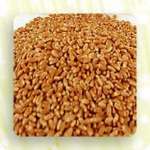 Wheat Grass Grain