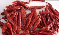 CABE KERING / DRIED CHILI