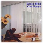 Vertical Blind