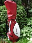 NEW LADY'S Taylormade r7 460 Golf clubs set