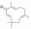 Zerumbone / Zingiber Zerumbet Extract