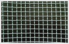 Galvanized Square Wire Mesh