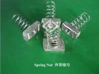 Spring Nut/ stainless steel nut/ fastener
