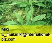 Plantain Extract