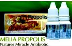 PROPOLIS MELIA