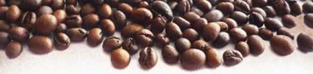 ARABICA ROASTED BEAN SINGLE COFFEE ORIGIN SERIES