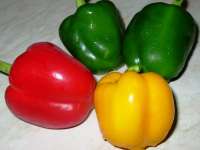 Red Pepper and Yellow Pepper