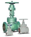 globe valve( valvehenry)