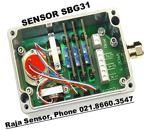 Sensor SBG31