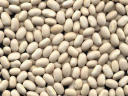 White Kidney Bean Extract (Phaseolus vulgaris)